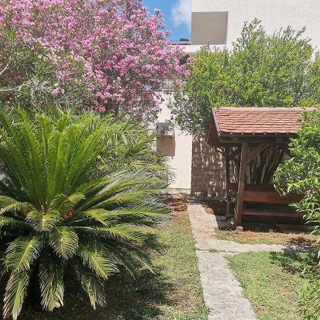 Apartments Maris Petrovac المظهر الخارجي الصورة