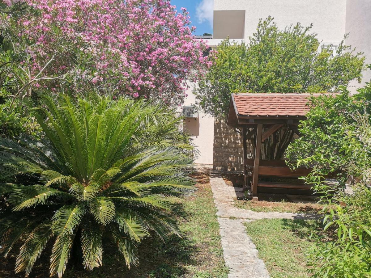 Apartments Maris Petrovac المظهر الخارجي الصورة