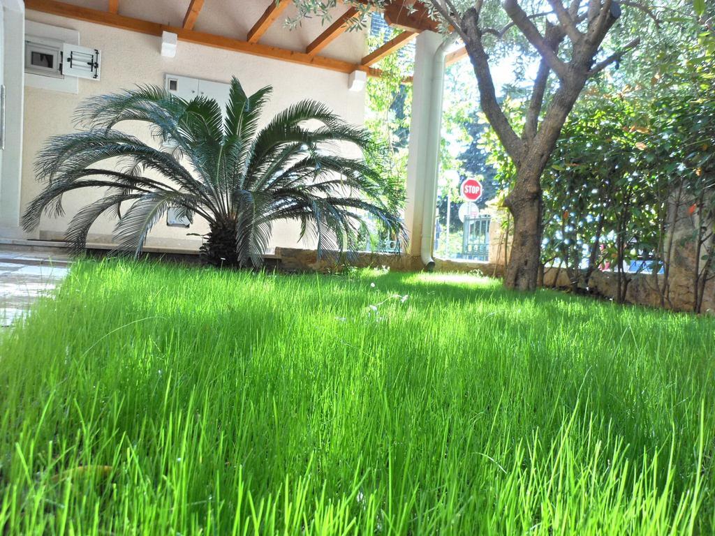 Apartments Maris Petrovac الغرفة الصورة